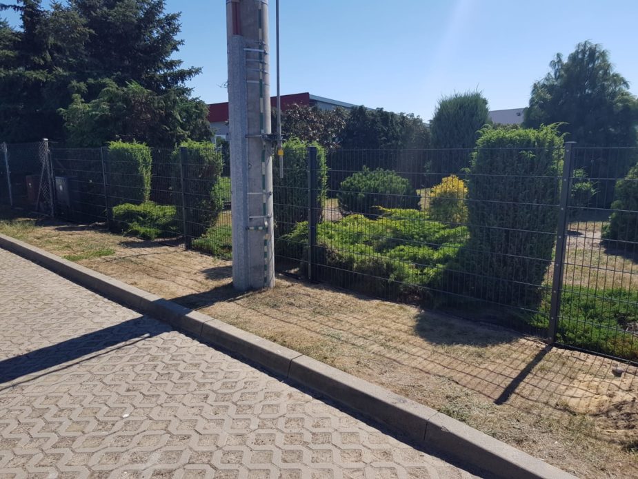 IMG-20190120-WA0053