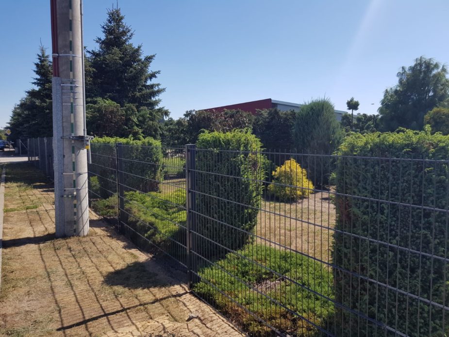 IMG-20190120-WA0054